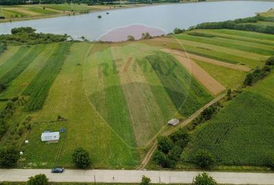 Teren superb Unciuc / jud.Hunedoara - 8