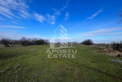 Spațiu comercial, în Gai - 3