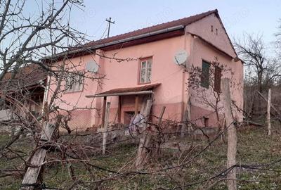 Casă cu 2 camere cu Teren 149 Mp în Orăștie - 5