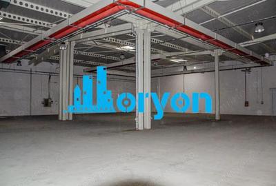 Spa?iu comercial + depozitare, Municipiul Craiova - 4