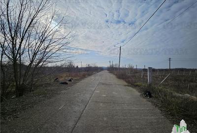 Teren Construcții intravilan de 28000 mp, în Hârșova - 3