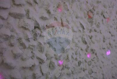 Hotel/Pensiune, de 1,350 mp, în Haieu - 24