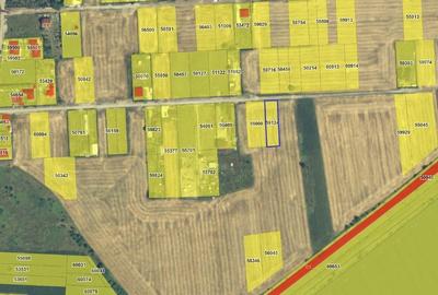 Teren Construcții intravilan de 1000 mp, în Moara Vlăsiei - 2