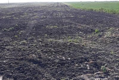 Teren de 15000 mp, în Agigea - 1