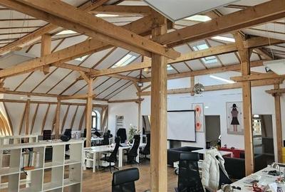 Spatii pentru birouri in vila - 233 mp - aproape km 0 - 16