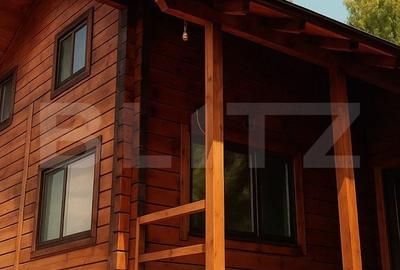 Casă cu 3 camere cu Teren 3000 Mp în Gilău - 5