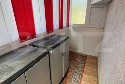 Apartament cu 2 camere semidecomandat în Gojdu - 9
