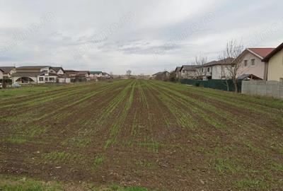 Teren Extravilan Padurea Craiului la intrarea in Com. Berceni | 3200mp - 4