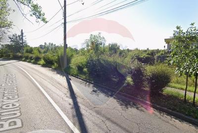 Teren de 50000 mp, în Rafov - 4