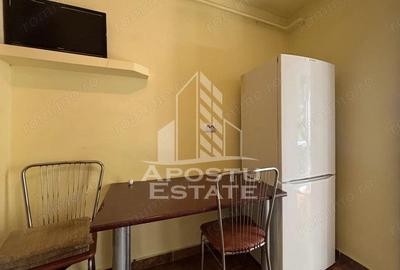 Apartament Lipovei, decomandat cu 2 camere PET-FRIENDLY - 7