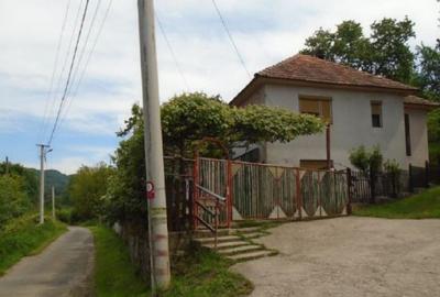 Cota de 3/32 din 3 constructii si teren-loc. Certeju de S...