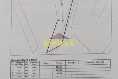 Teren de 10189 mp, în Cristești - 1