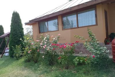 Casă individuală cu 3 camere cu Canalizare în Hănțești - 34