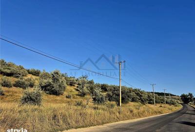 Teren de 27660 mp, în Lețcani - 2