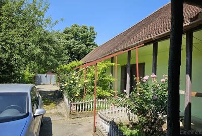 Casă cu 4 camere cu Teren 1450 Mp în Liebling - 7
