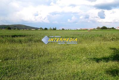 Teren Construcții de 2200 mp, în Oarda - 3