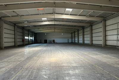 Spatiu depozitare - logistica 2.519 mp si birouri Chiajna A1 - 46