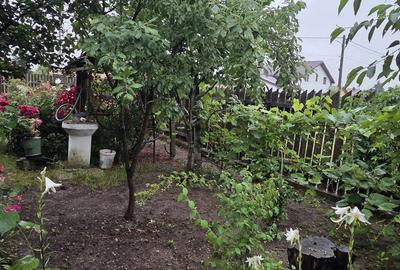 Casă cu 4 camere în Brezoaia - 6
