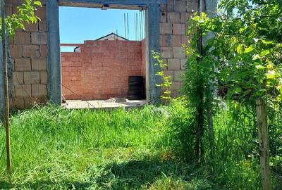 Casă cu 6 camere cu Teren 498 Mp în Peciu Nou