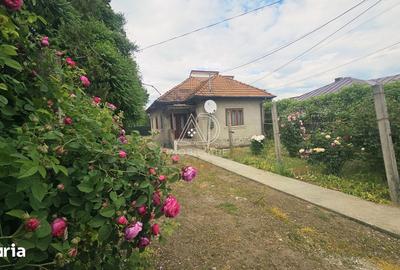 Casă cu 7 camere cu Teren 1296 Mp în Central