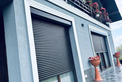 Casă cu Teren 2500 Mp în Stănilești