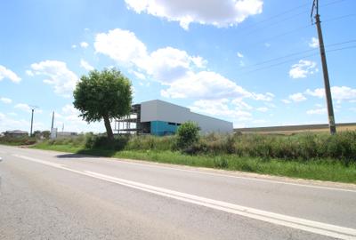Teren Construcții intravilan de 1000 mp, în Tulucești - 10