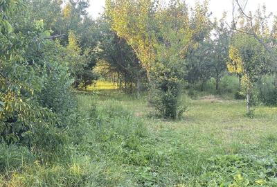 Casă cu 4 camere în Ohaba-Forgaci - 5