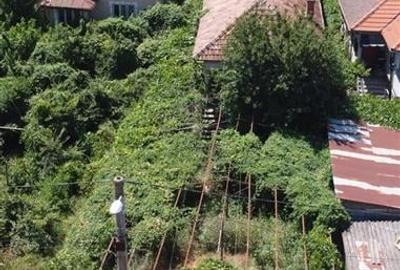 Casa de vanzare Mofleni - 1