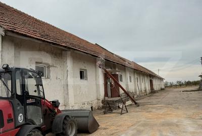 Ferma de Vanzare in judetul Timis, la nord est de Timisoara, 10ha 6 hambare - 1