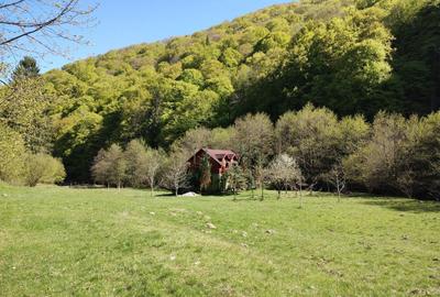 Casă cu 3 camere în Gura Râului - 7