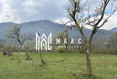 Teren agricol extravilan de 7750 mp, în Câinenii Mici - 4