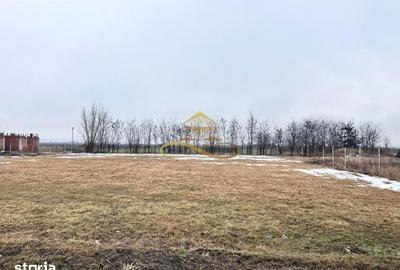 Teren de 900 mp, în Săucești - 4
