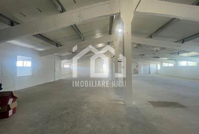 De închiriat: Hală de depozitare și producție în Jucu de Mijloc De închiriat: Hală de depozitare și producție în Jucu de Mijloc - 7