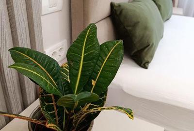 Apartament cu 2 camere decomandat, mobilat în Tractorul - 4