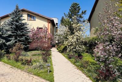 Casă individuală cu 10 camere cu Piscina în Roșu - 17