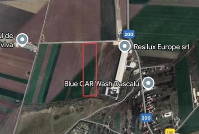 Teren de 6800 mp, în Dascălu - 2