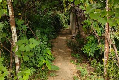 Casa de vanzare si 7600 mp teren intravilan Dor Marunt, Calarasi - 6