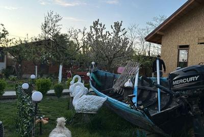 Casă cu 3 camere cu Teren 2700 Mp în Victoria - 4