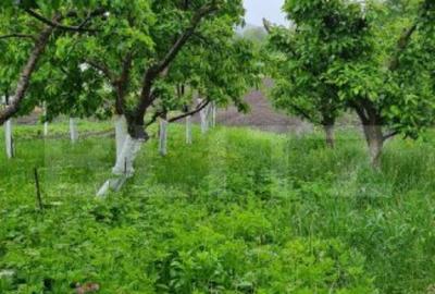 Casă cu 3 camere cu Canalizare în Bod - 5