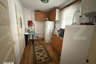 Casă cu 4 camere cu Teren 6325 Mp în Medieșu Aurit - 5
