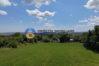 Teren Construcții intravilan de 5654 mp, în Dragomirești - 12