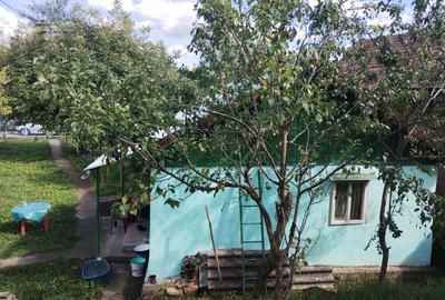 Casă în Aluniș - 1