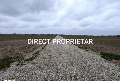 Teren de 9545 mp, în Berceni - 2