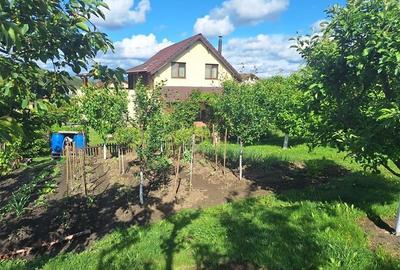 Vanzare casa individuala cu gradina matura Campenesti Apahida, Cluj-Napoca - 5