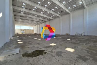 Hala  - 1800 mp  # plus-imo.ro - 3