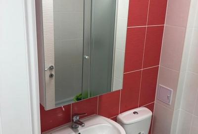 Garsonieră decomandată, mobilată în Theodor Pallady - 8