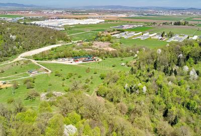 Teren Construcții intravilan de 5500 mp, în Cristian - 4