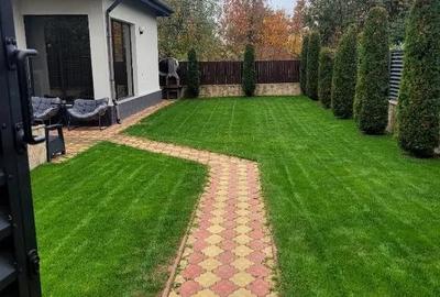 Casă cu 4 camere cu Teren 425 Mp în Ostroveni - 18