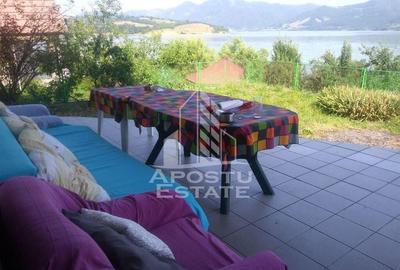 Casa individualapretabil pensiune pe Clisura Dunarii - 2