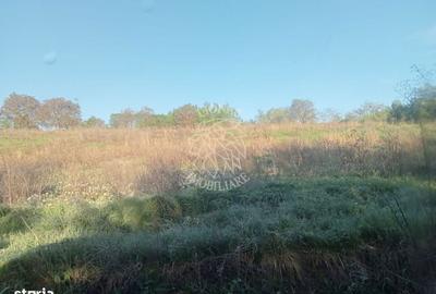 Teren de 10000 mp, în Aluniș